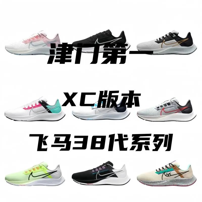 Nike Air Zoom Pegasus