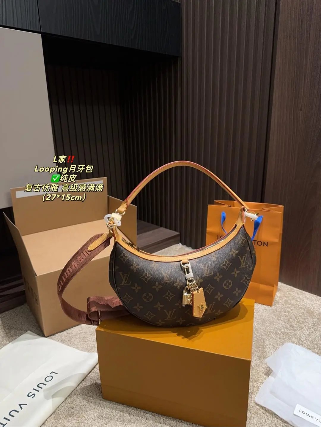 Louis Vuitton Handbags Loopibg
