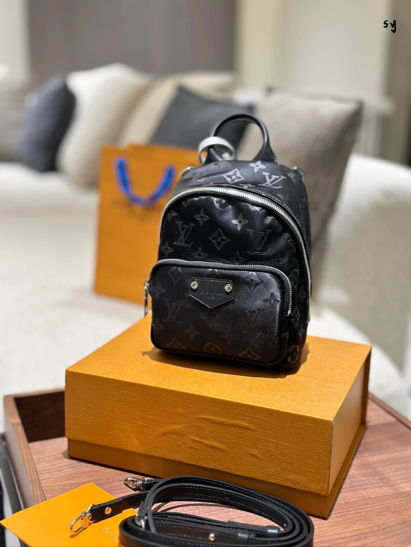 Louis Vuitton Backpack