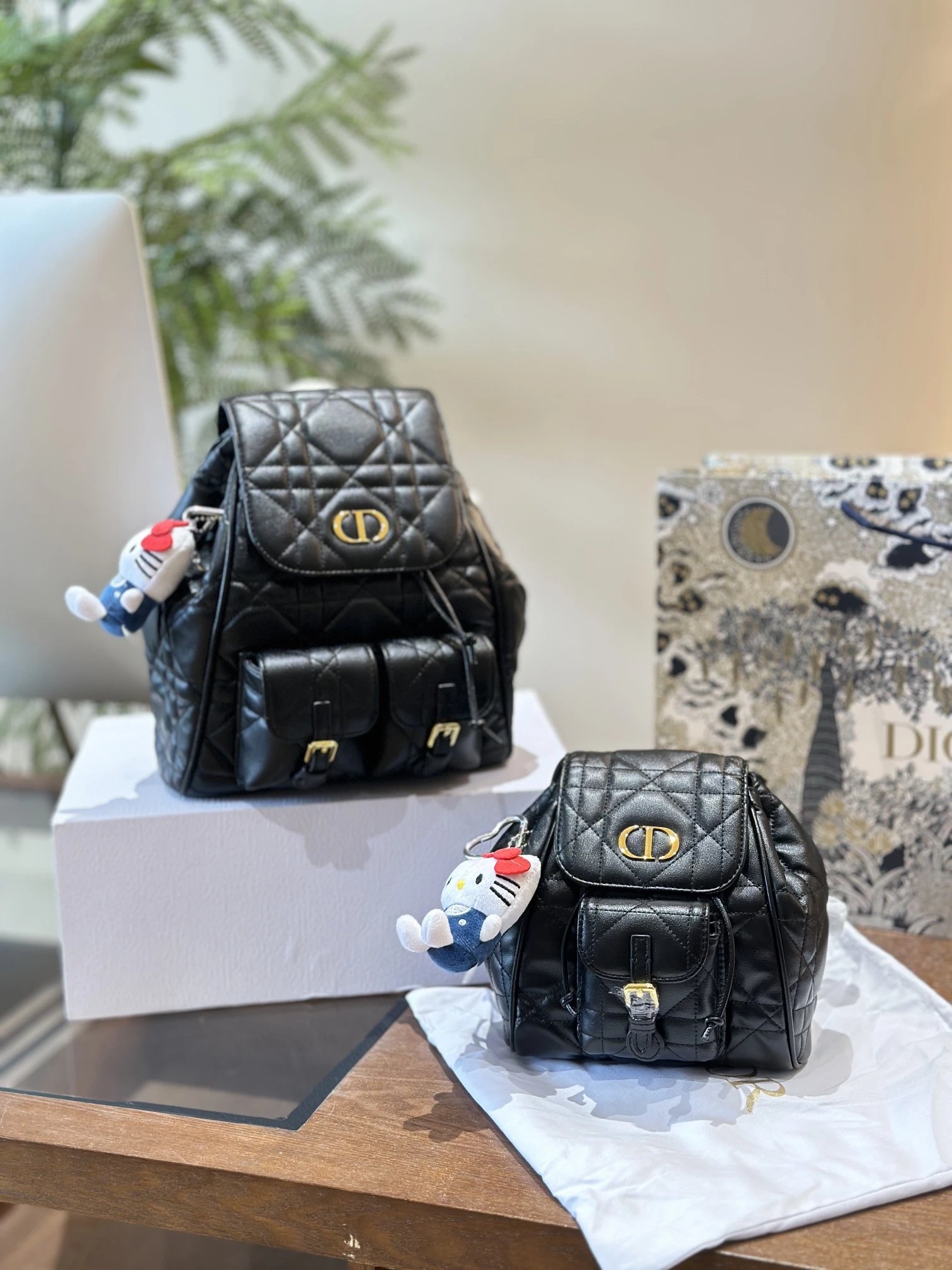 Dior Handbags Backpack Caro