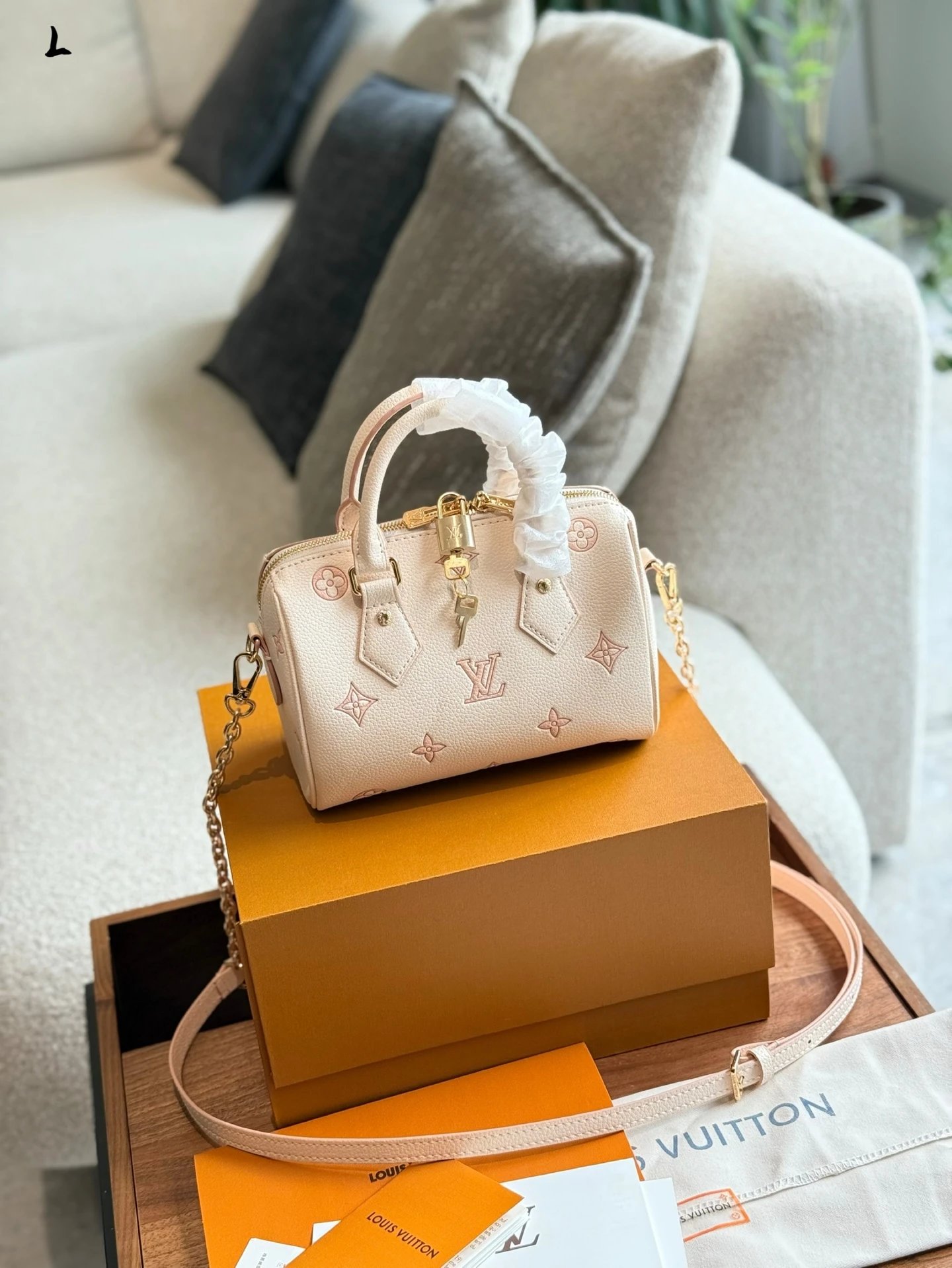 Louis Vuitton Handbags speedy 20